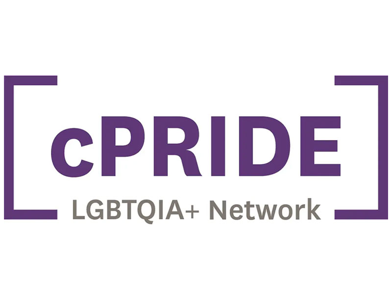 a purple and grey logo