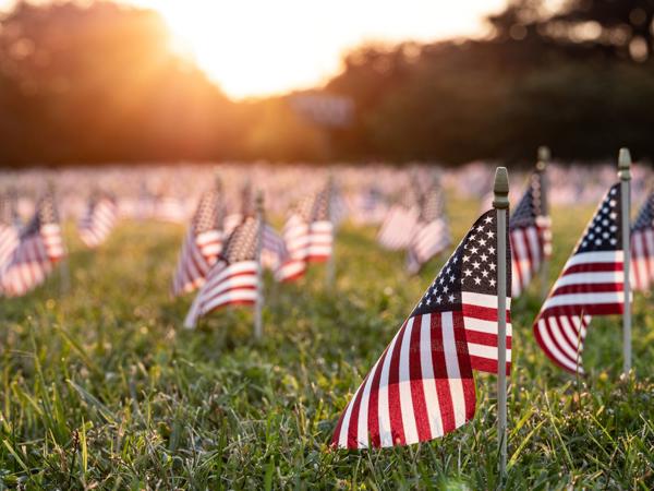 a field of small flags