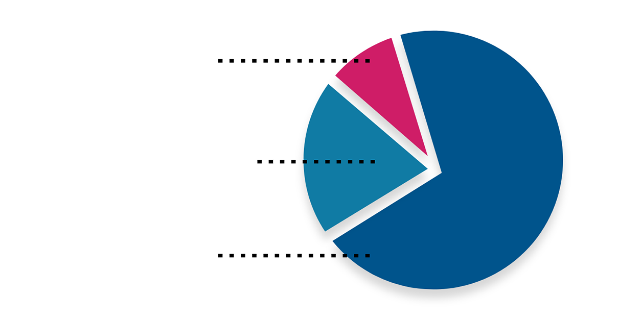 A pie chart showing Centene's Internship Program.